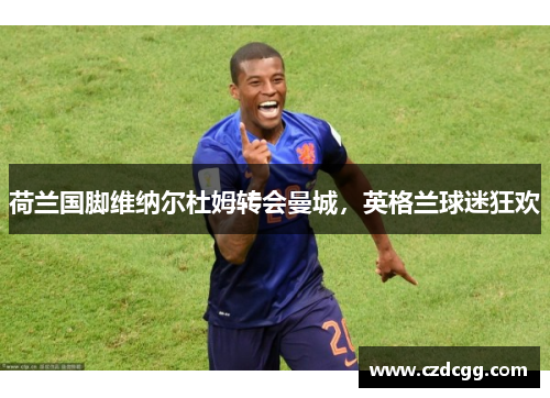 荷兰国脚维纳尔杜姆转会曼城，英格兰球迷狂欢